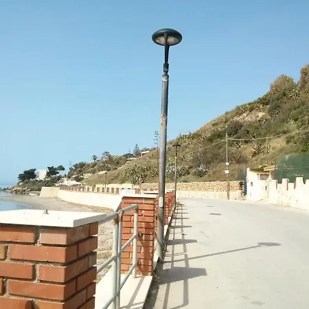Baiarenella *
